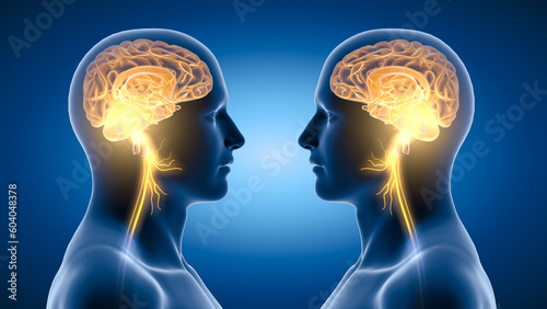 Active brain and energetic vagus nerve, communication, meditation, two men, 3D illustration