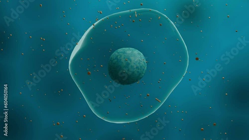 Floating healthy cell in liquid. Laboratory research or experiment microscopic view on organic molecular structure. 4K Quality Closeup Animation concept. Animated human micro cell photo