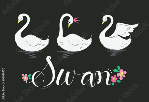 Beautiful princess swan isolated on black background illustration vector.