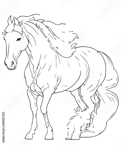 Fototapeta Naklejka Na Ścianę i Meble -  Graceful Horse Line Art Coloring Page Unleash Your Creativity with our Exquisite Equine Illustration