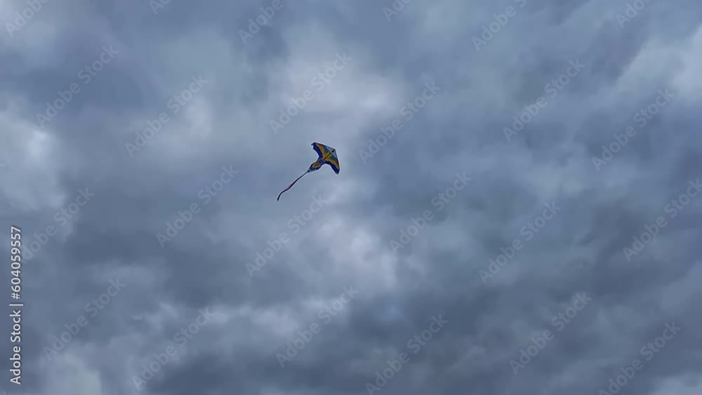 bright colored parrot kite flies in cloudy sky under control of child. Windy weather for kite flying. flat kite. Outdoor
bright colored parrot kite flies in cloudy sky under control of child. Windy weather for kite flying. flat kite. Outdoor