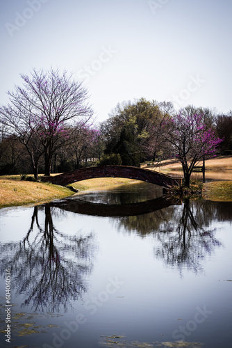 lake in the park