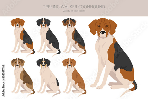 Treeing Walker coonhound clipart. Different poses, coat colors set