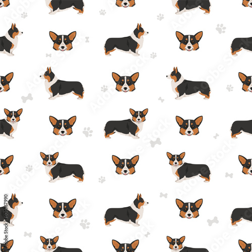 Welsh Corgi Pembroke seamless pattern. All coat colors set.  All dog breeds characteristics infographic