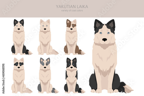 Yakutian Laika  clipart. Different poses, coat colors set