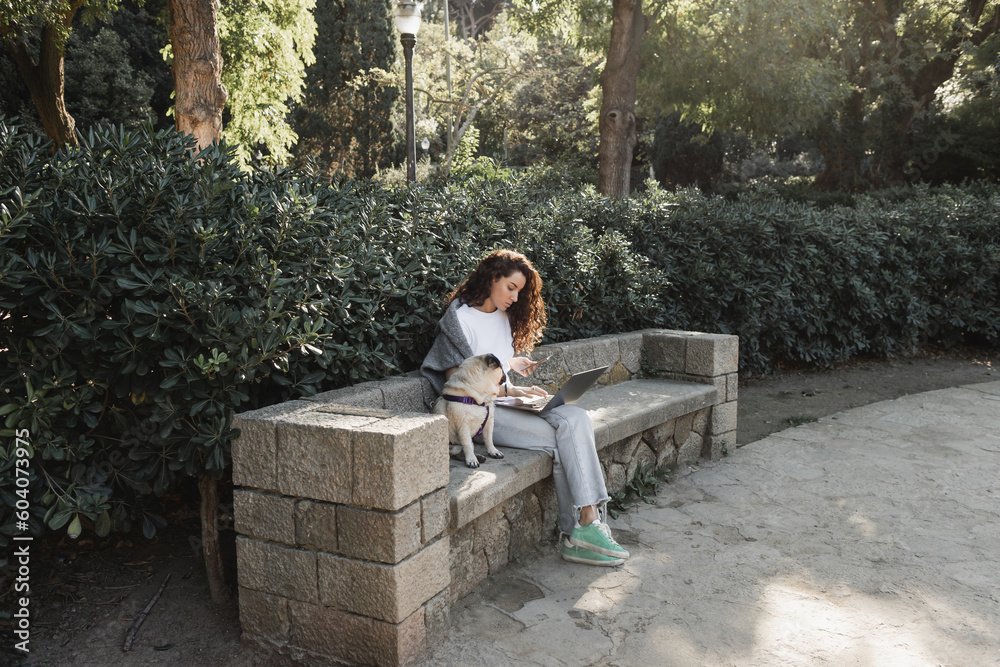 Fototapeta premium Curly freelancer in casual clothes using gadgets while spending time and working near pug dog sitting on stone bench in green park at daytime in Barcelona, Spain
