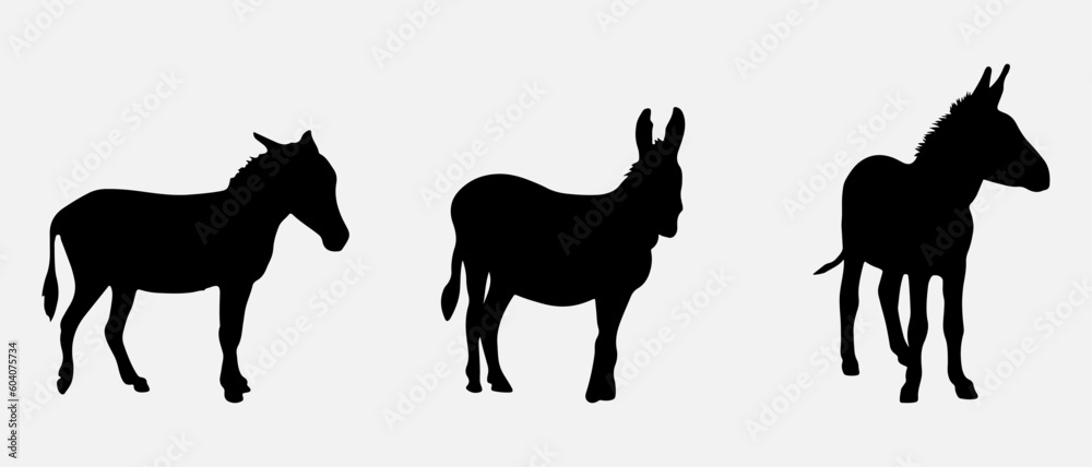 Obraz premium isolated black silhouette of a donkey , vector collection