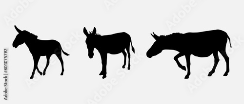 isolated black silhouette of a donkey , vector collection