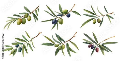Watercolor olive branch . Generative Ai
