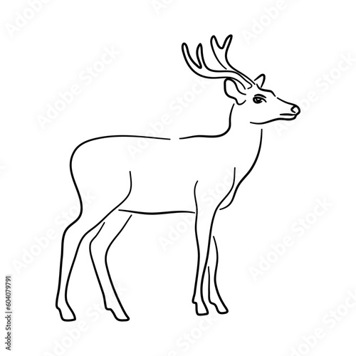 Deer in doodle style. Icons sketch hand made. Vector.