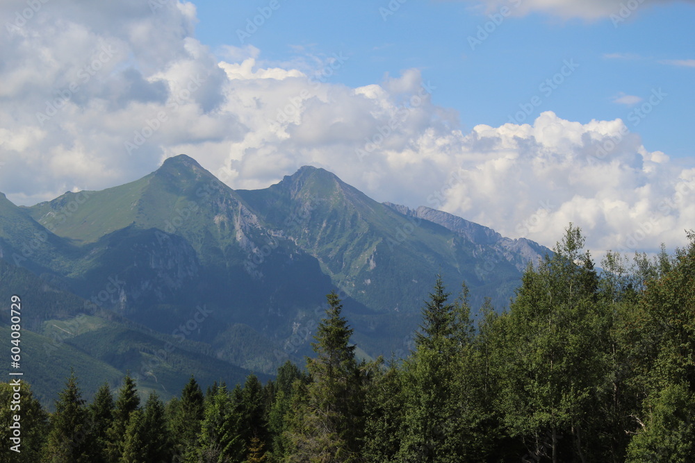 Polskie góry/Polish mountains