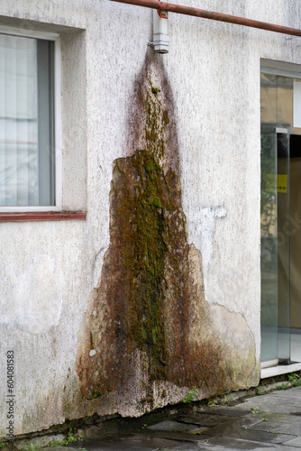Фотография Mold, lichen, fungus on walls of building outside, water leaks on walls causing damage, rapid deterioration of house