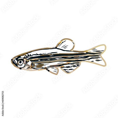 color sketch of colorful fish with transparent background