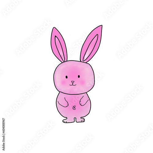 rabbit isolated on white