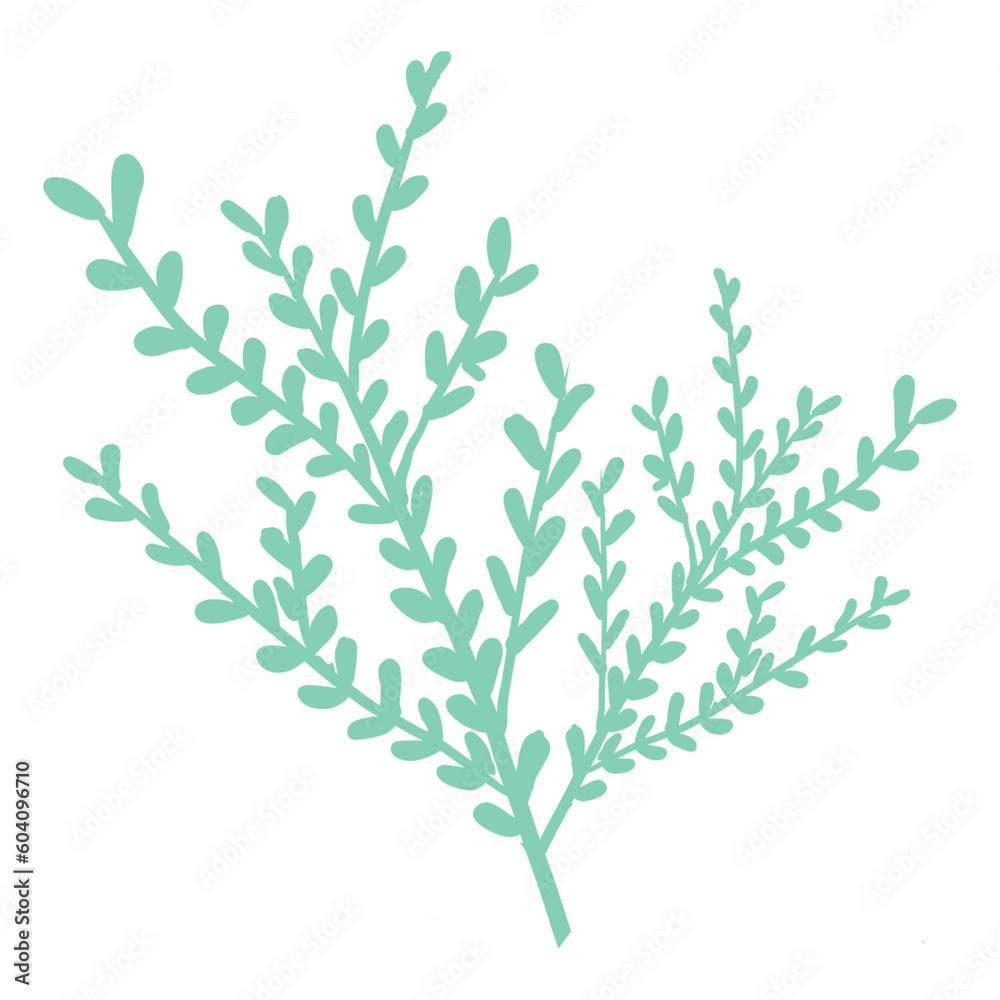 Fototapeta premium flower set