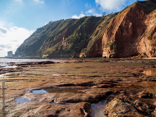 Rock Shelf, Rockpools and Red Sandstone Cliffs at Low Tide at the West end of Jacob's Ladder Beach in Sidmouth Devon, UK, in the January Winter Sunlight