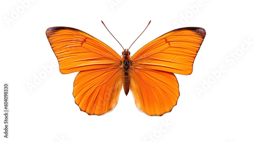 Beautiful orange butterfly isolated on a white transparent background. Generative AI Illustration	