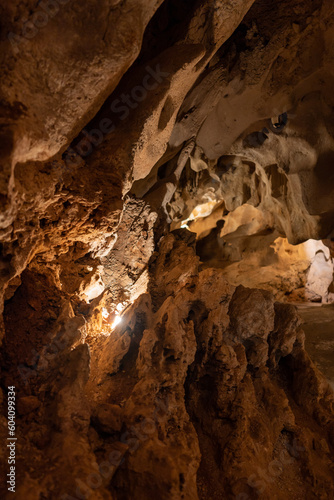 detail of a cave wall texture