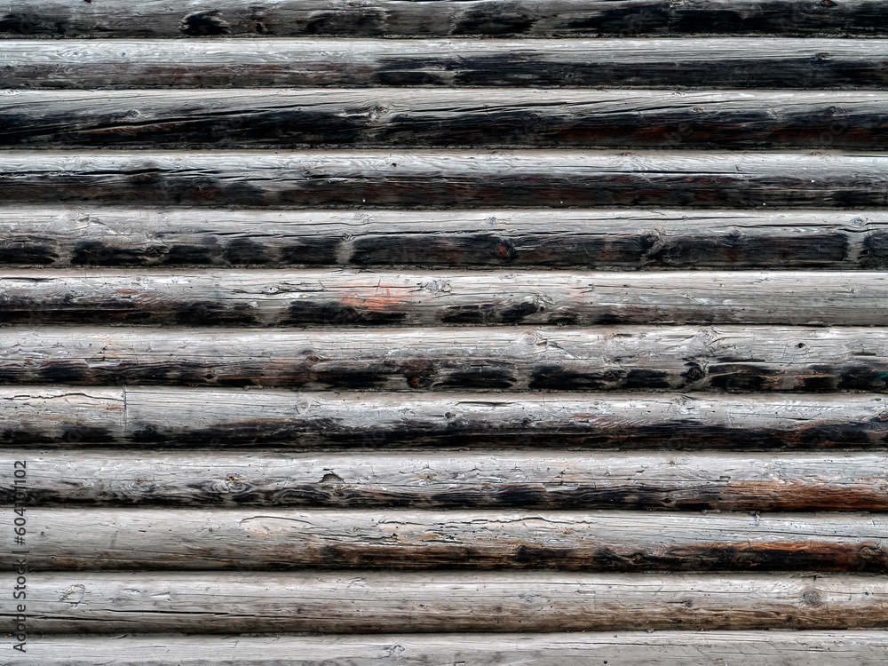 150 year old larch wall of a round timbers. Wooden beams pattern.