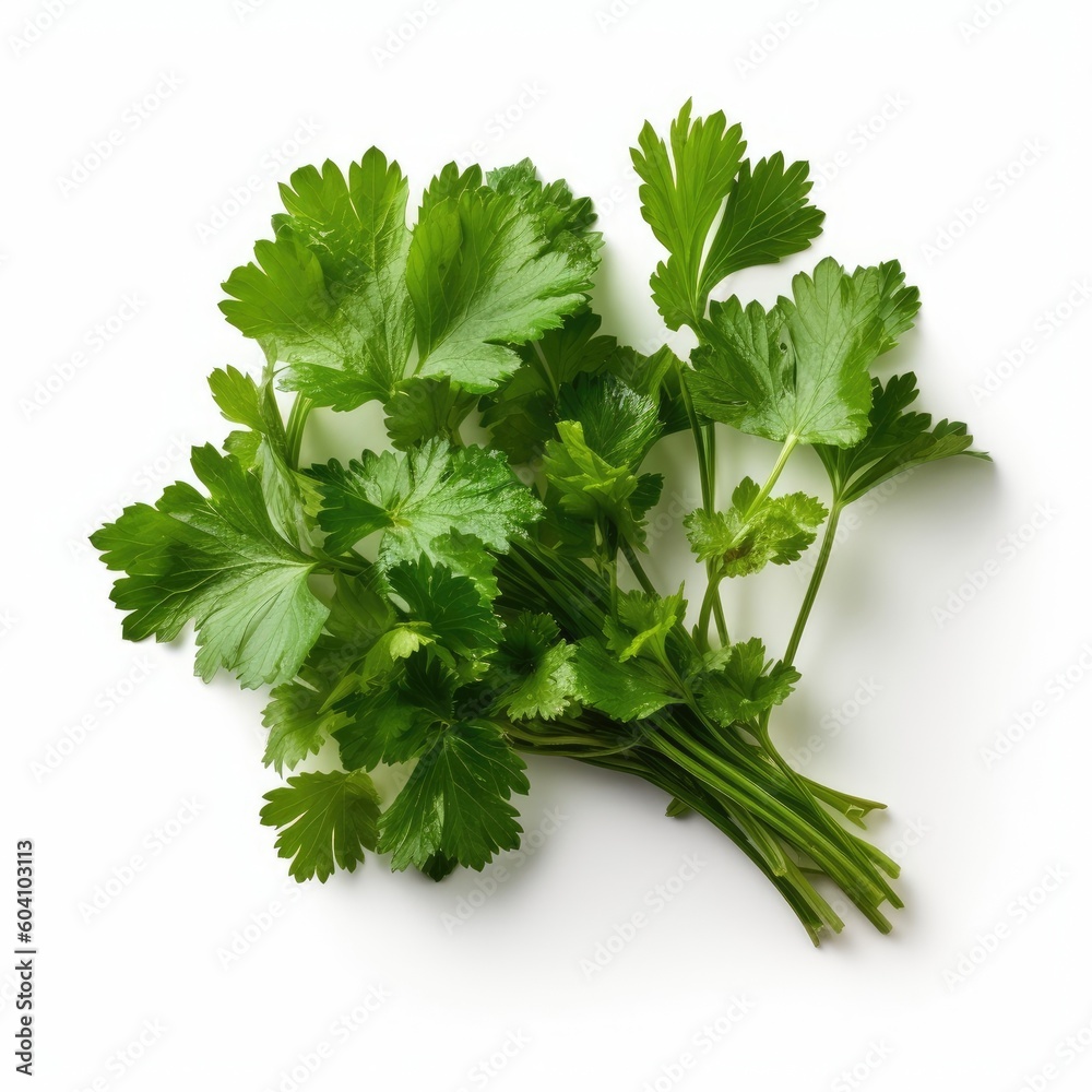 Cilantro isolated on white background (generative AI) Cilantro isolated on white background (generative AI)