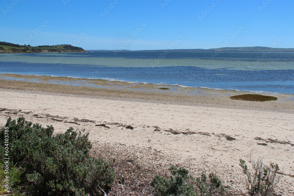 littoral at kangaroo island (australia)