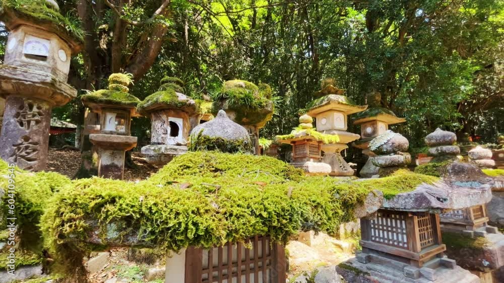 春日大社 榎本神社と苔の付いた複数の石灯篭 パンショット 春日大社 榎本神社と苔の付いた複数の石灯篭 パンショット