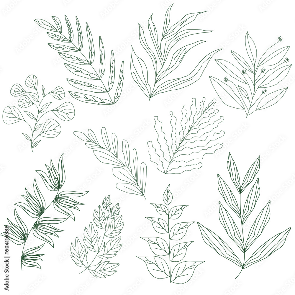 Set line art tropical leaves Set line art tropical leaves