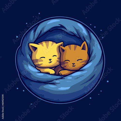 due gattini abbracciati dentro una coperta