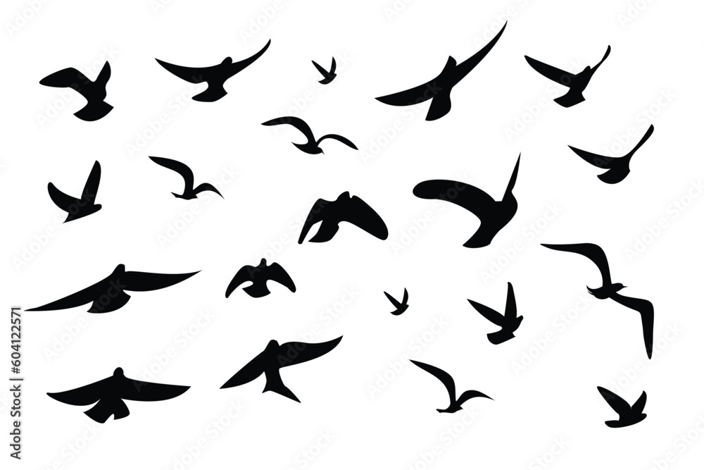 Vector illustration of a flock of flying birds on a white background. Vector illustration of a flock of flying birds on a white background.