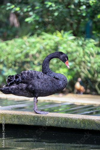 Photography Kuala Lumpur Birds Park