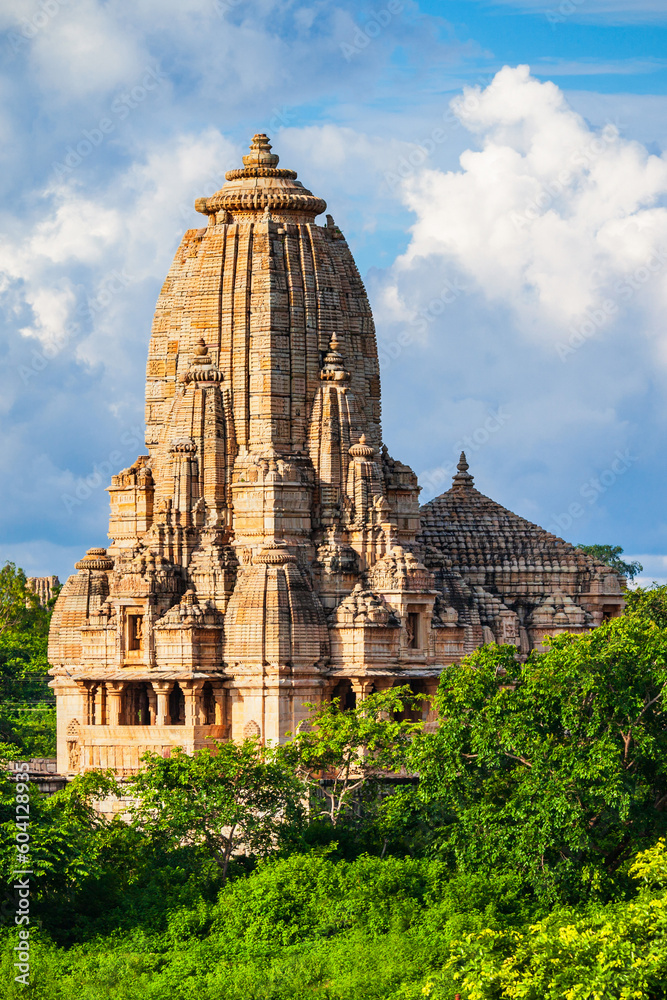 Meera Temple, Chittor Fort, Chittorgarh