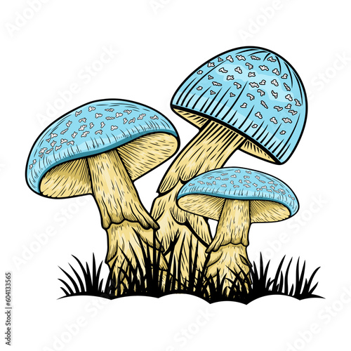 mushroom vector logo. Shiitake mushroom plant. for mushroom shop, mushroom cultivation