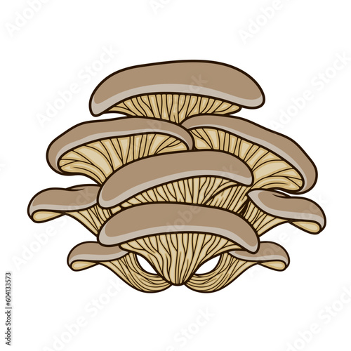 mushroom vector logo. Oyster mushroom, for mushroom shop, mushroom cultivation or mushroom food production