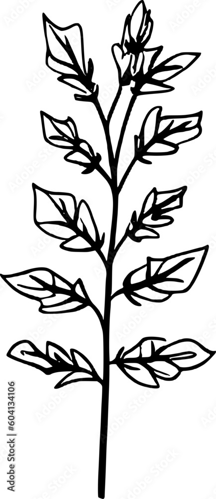 Naklejka premium Laef Line Art