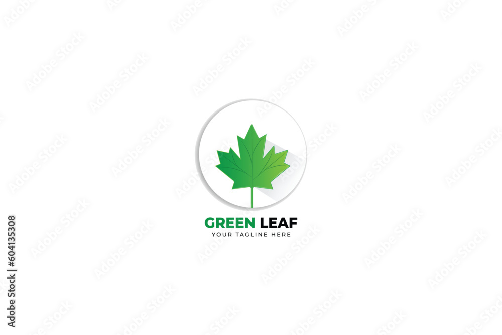  ecologic company logo design