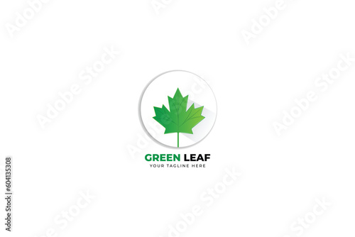  ecologic company logo design