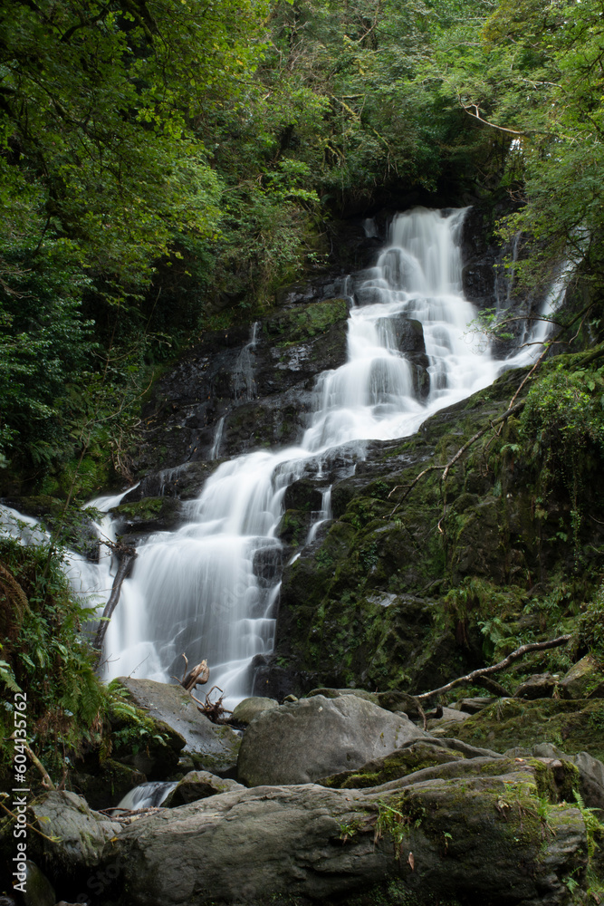 Naklejka premium rio con cscada fluye entre el bosque