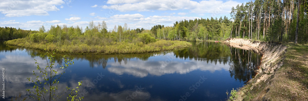 Panorama of the forest river in spring.
