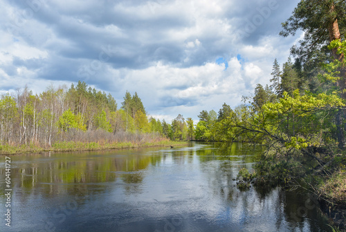 Spring day on a forest river.