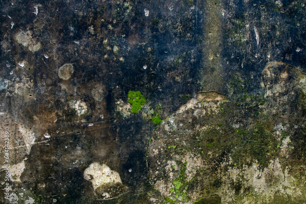 Mold, moss and dampness on the wall, old peeling paint wall background, texture of a concrete wall with stains and cracks