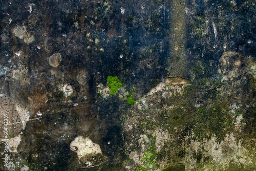 Mold, moss and dampness on the wall, old peeling paint wall background, texture of a concrete wall with stains and cracks