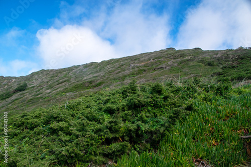 Green valley with hills, wildlife of Sintra, Portugal