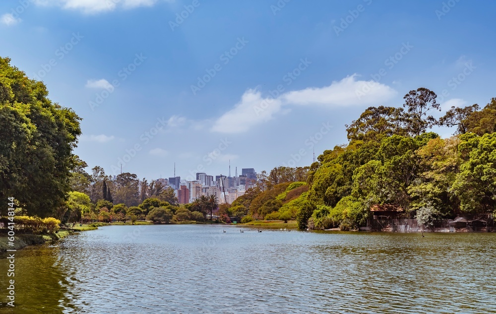 Ibirapuera Park, in the city of São Paulo, Brazil. Natural landscape with lake. City skyscrapers in the background on a sunny day with blue sky.