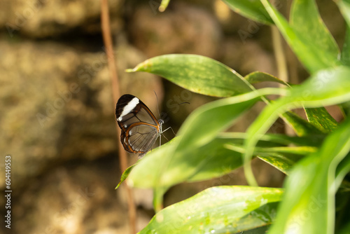 Photography Kopenhagen Botanischer Garten 2022