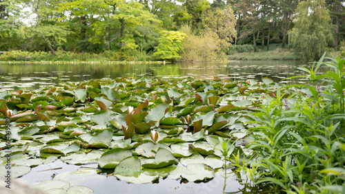 Photography Kopenhagen Botanischer Garten 2022
