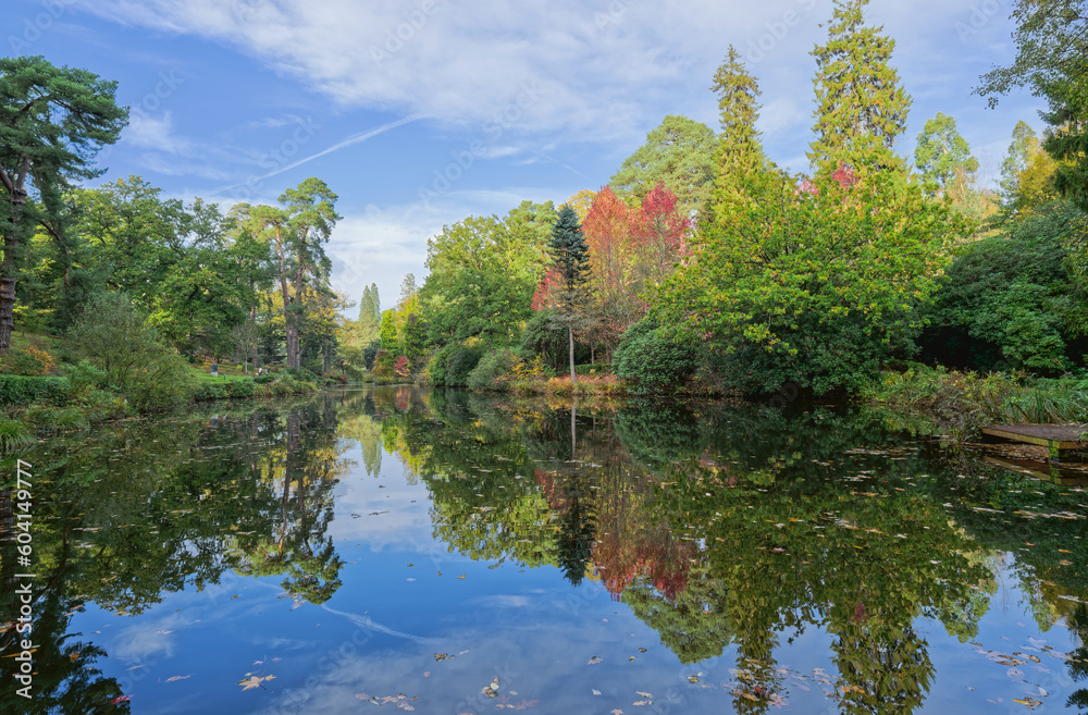Leonarslee gardens autumnal leaves reflections in the lake Leonarslee gardens autumnal leaves reflections in the lake