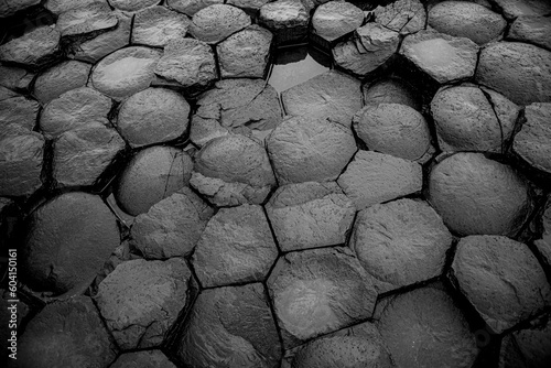 Giant's causeway black and white