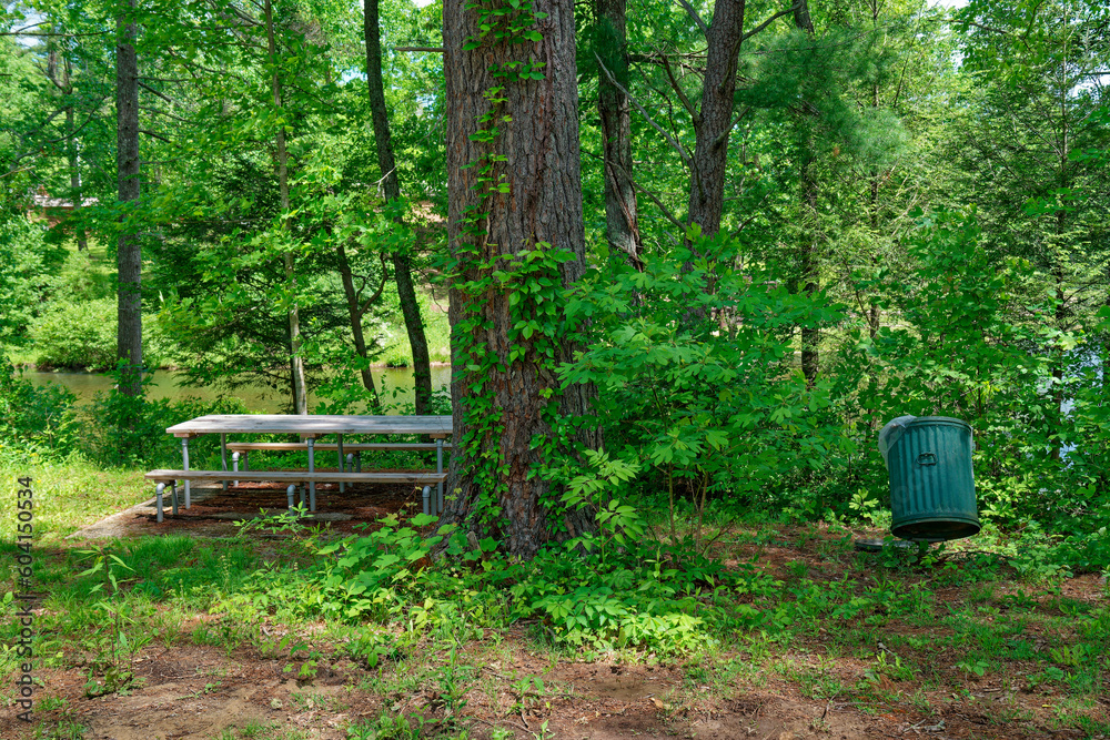 Rustic picnic area by the river Rustic picnic area by the river