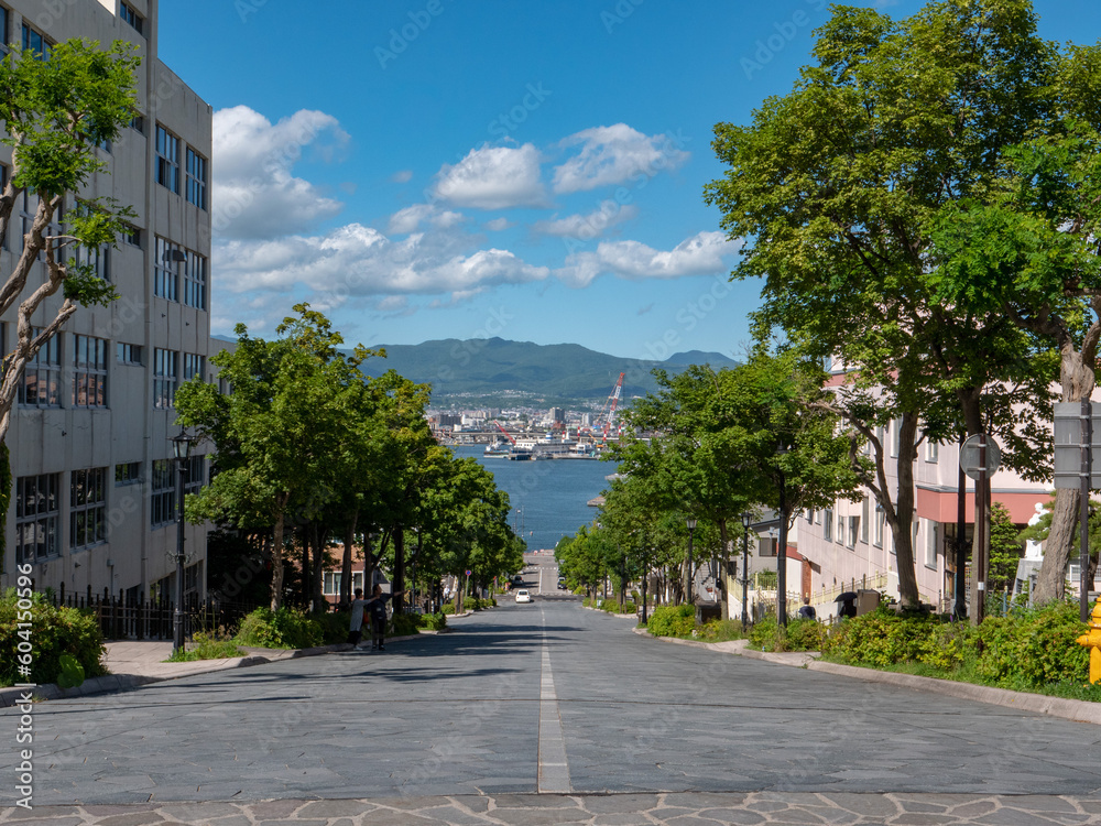 八幡坂(北海道函館市) 八幡坂(北海道函館市)