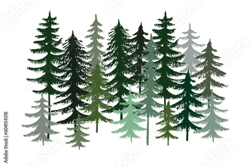 Evergreen forest pine  tree isolated. Park  alley Christmas tree. Vector illustration. Landscape of isolated trees